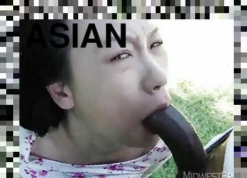 Asian slut gagging on long black cock