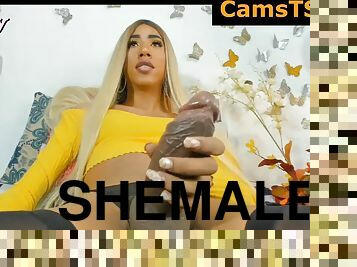 Huge Latina Shemale Male Stick on Webcam
