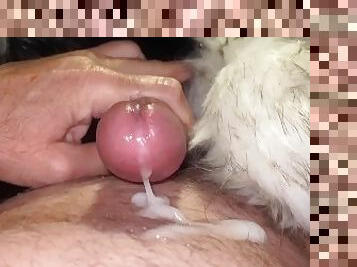 masturbation, vieux, amateur, mature, ejaculation-sur-le-corps, couple, jeune-18, ejaculation, plus-agée, fétiche