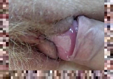 Young hairy pussy gets rubbed with hard dick