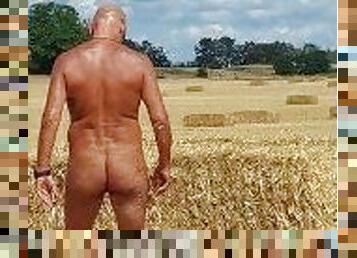 Autum in Germany - horny on the fields