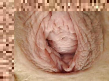 clitoris-bagian-atas-vagina-paling-sensitif, ekstrem, kencing, vagina-pussy, amatir, cantik, vagina-vagina, jarak-dekat, penyebaran