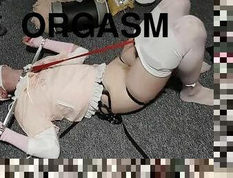 orgasme, amatør, moden, bøsse, bdsm, europæisk, euro, kær, fetish, solo