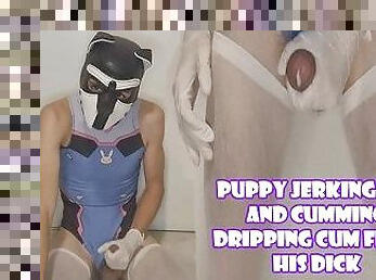 Puppy Jerking Off And Cumming Dripping Cum From Dick