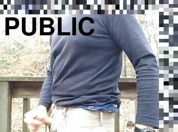 masturbation, public, ejaculation-sur-le-corps, gay, secousses, solo, jeans, forêt