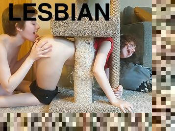 Lesbian Girlfriend Gets Stuck In Cat Tree