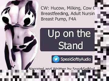 Eager Little Cow Must Prove Herself On The Stand