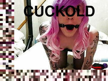 sissy cuckold femboy male chastity cum humiliation leaked 