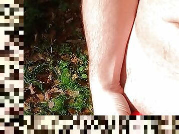 poilue, masturbation, en-plein-air, public, ejaculation-sur-le-corps, énorme-bite, jouet, gay, allemand, branlette