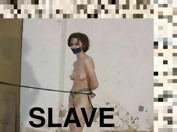 Breaking In The New Slave