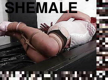 transexual, mamada, transexual-tranny, sadomasoquismo, bondage, amante, dominación