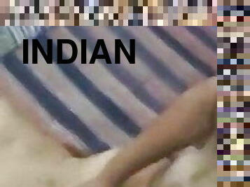 कुत्ता, भारतीय, चुंबन