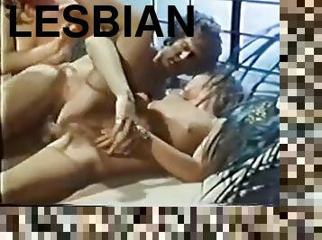 לסבית-lesbian, סלבריטאי, משובח, מטורף