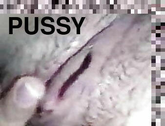 vagina-pussy