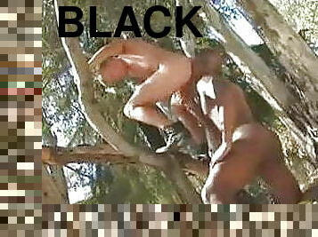 en-plein-air, fellation, interracial, gay, black