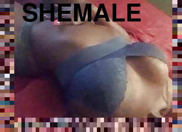 shemale, transa, svart, ladyboy, hora