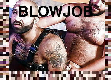 anal, blowjob, stor-pikk, homofil, handjob, kyssing, bjørn