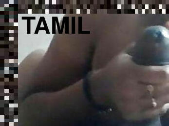 Tamil aunty 