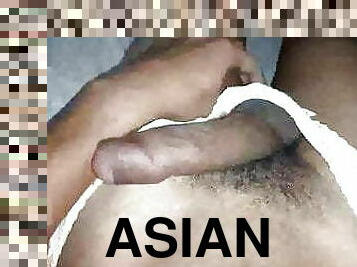 azijski, homo, gaćice