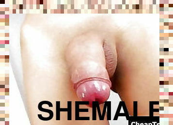 asia, besar-huge, waria-shemale, anal, orang-yang-bertukar-kelamin, thailand