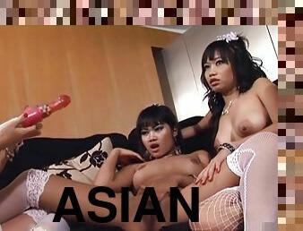 asiatiche, tettone, pompini, lesbiche, trio, brunette