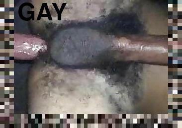 anal, homo