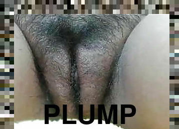 A sexy plump pussy