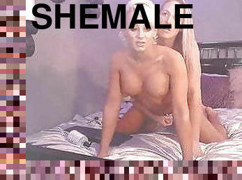 Shemale webcam video 02.12.2020 how to find them