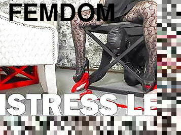 collants, milf, esclave, pieds, point-de-vue, fétiche, maîtresse, humiliation, femme-dominatrice, en-nylon