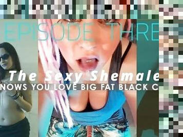 Episode 3 The Sexy Shemale knows you love big fat black cocks THE SHEMALE IS ME