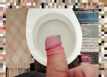 Quick Cumshot In The Toilet