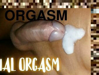 orgasme, amatir, anal, cumshot-keluarnya-sperma, penis-besar, homo, sperma, eropa, mata-uang-euro, sperma-sperm