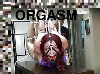 Strict Hogtied Orgasms