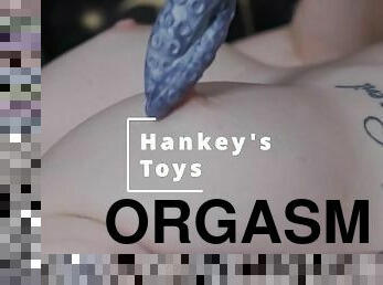 New Mr Hankey's toy - amazing suck and pussy play