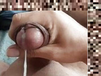 masturbation, amateur, ejaculation-sur-le-corps, branlette, brésil, secousses, solo, réalité, soutien-gorge