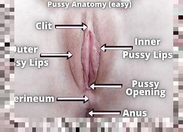 klitoris, orgazmas, putytė, mėgėjai, mažulės, dulkinimas-pirštu, tikrovė, čiulpimas-sucking