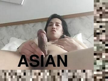 asiatique, cul, gros-nichons, masturbation, amateur, babes, ejaculation-sur-le-corps, ladyboy, secousses, ejaculation