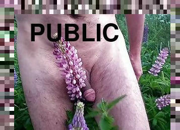 Naked Cyclist and Lupine Field