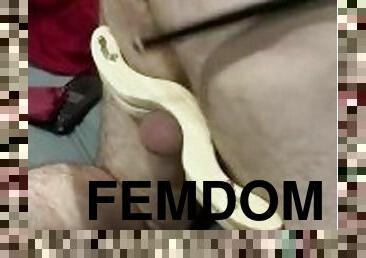 Femdom CBT humbler