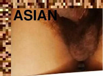 asiatique, papa, gay, ejaculation, massive, solo, pappounet, blanc, minet, bite