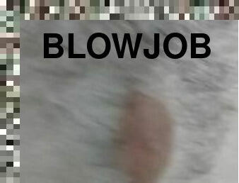 blowjob, homofil, bil, frekk, kjæreste, pikk, suging