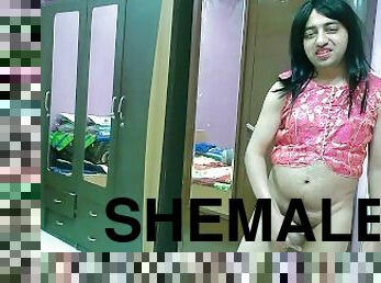 shemale, amatööri, ladyboy