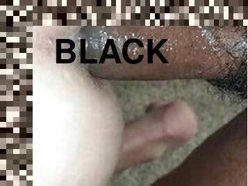 Black bred