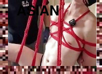 asiatique, amateur, ejaculation-sur-le-corps, énorme-bite, gay, branlette, bdsm, fétiche, bondage, musclé