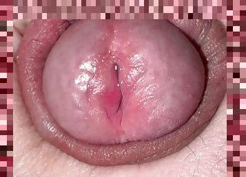 amateur, ejaculation-sur-le-corps, énorme-bite, gay, point-de-vue, ejaculation, fétiche, solo, lait, minet