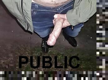 masturbation, en-plein-air, public, amateur, énorme-bite, branlette, solo, jeans, forêt, bite