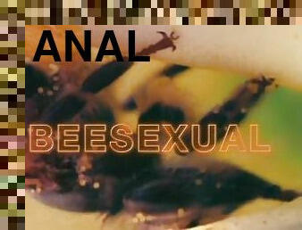 anal-sex