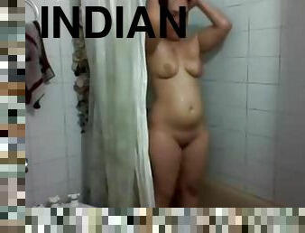 Panjabi Indian Bigtits Bhabhi In Dusche