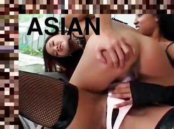 asia, pantat, payudara-besar, diikatkan-pada-tubuh, berkulit-hitam, antar-ras, lesbian-lesbian, jenis-pornografi-milf, mainan, antik