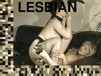 lesbiana, divertido, sofá